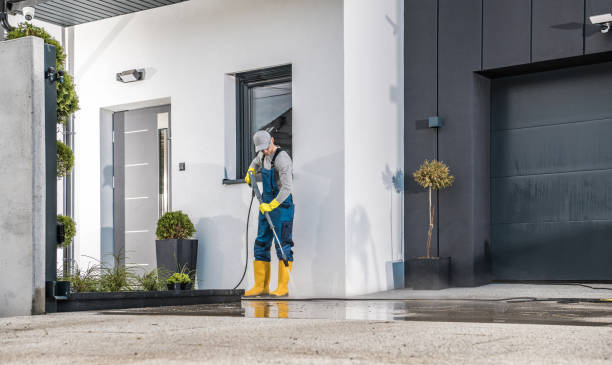 Best Building Exterior Washing  in Pleasant Hill, TX